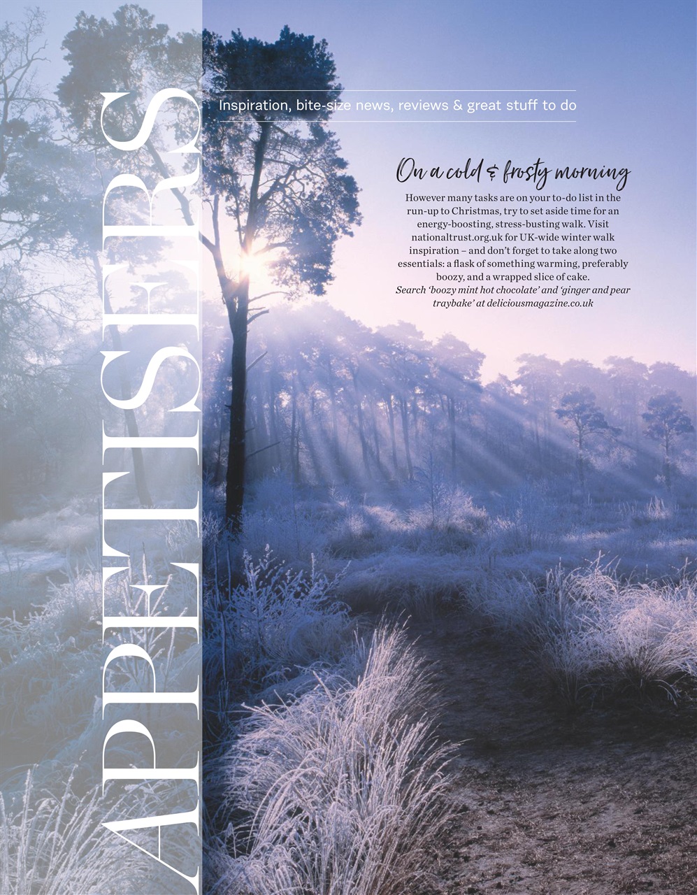 delicious. Magazine Preview Pages