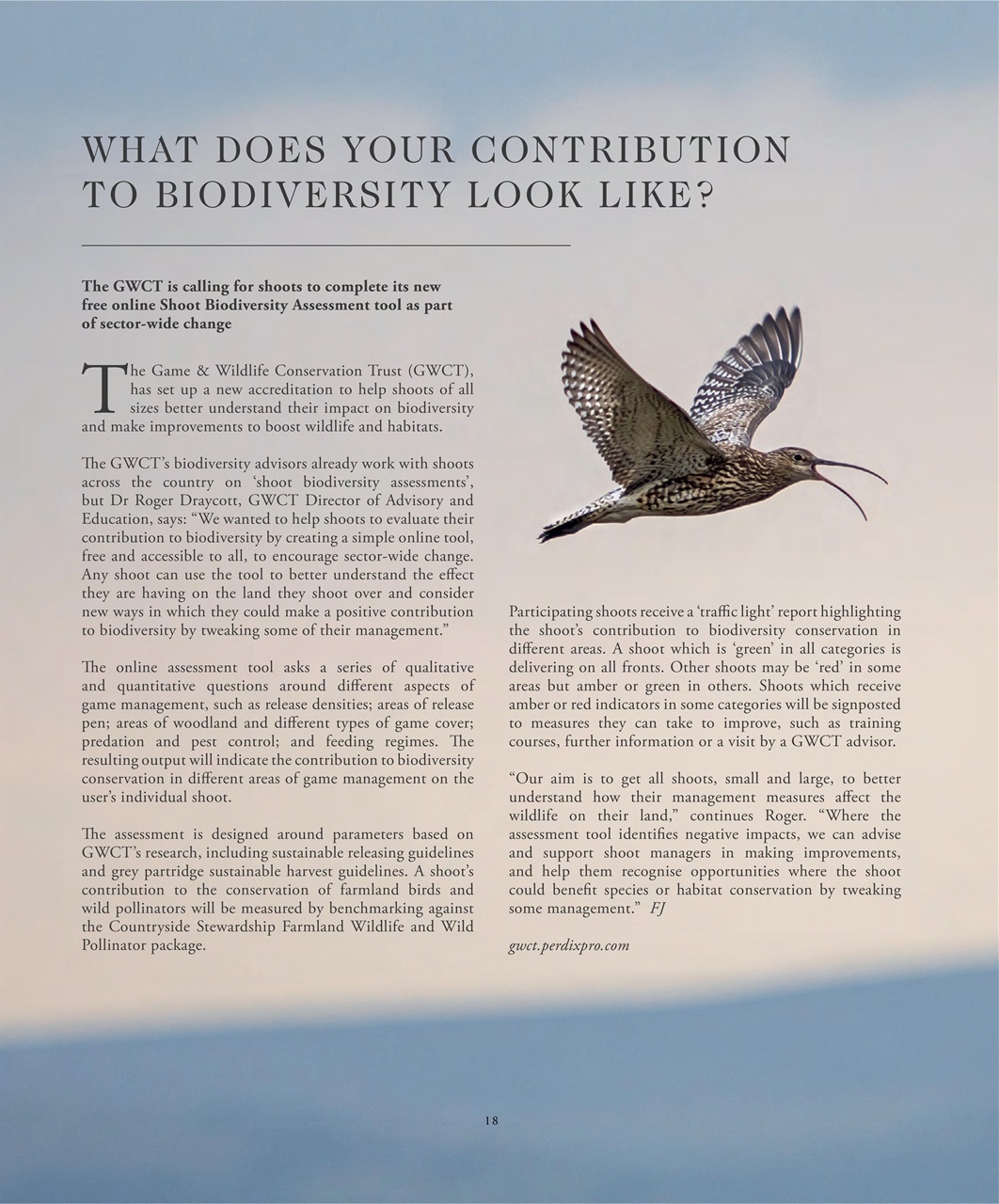 Fieldsports Journal Preview Pages