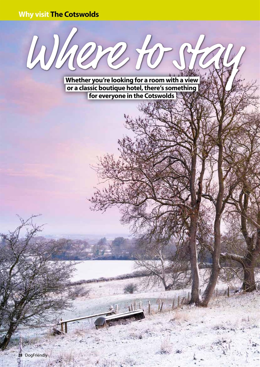 Dog Friendly Preview Pages