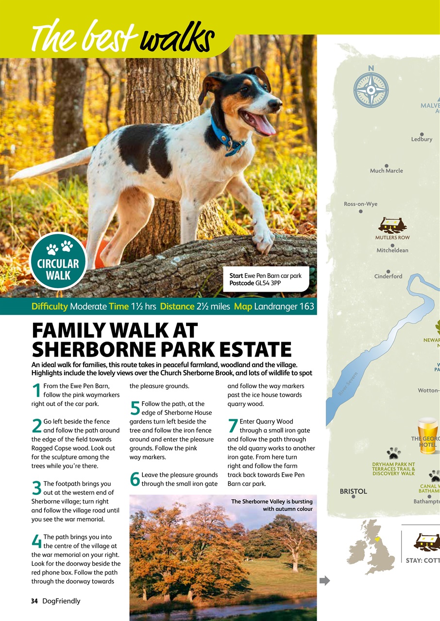 Dog Friendly Preview Pages