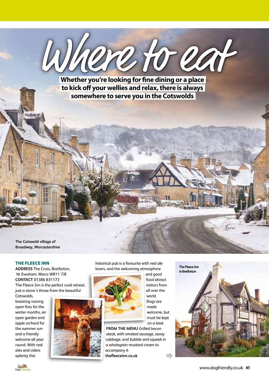 Dog Friendly Preview Pages