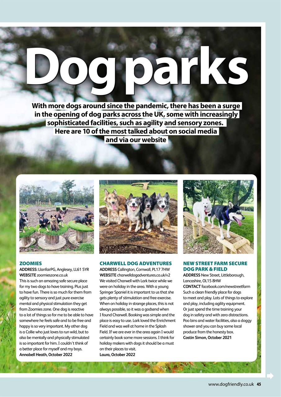 Dog Friendly Preview Pages