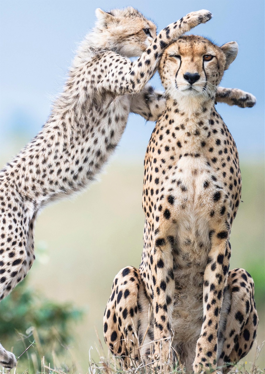 National Geographic Traveller UK Preview Pages