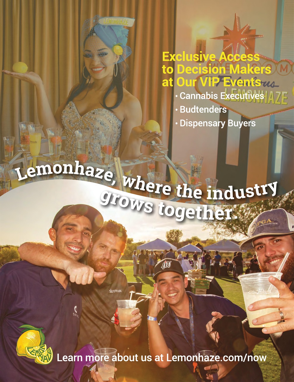 Cannabis Now Preview Pages