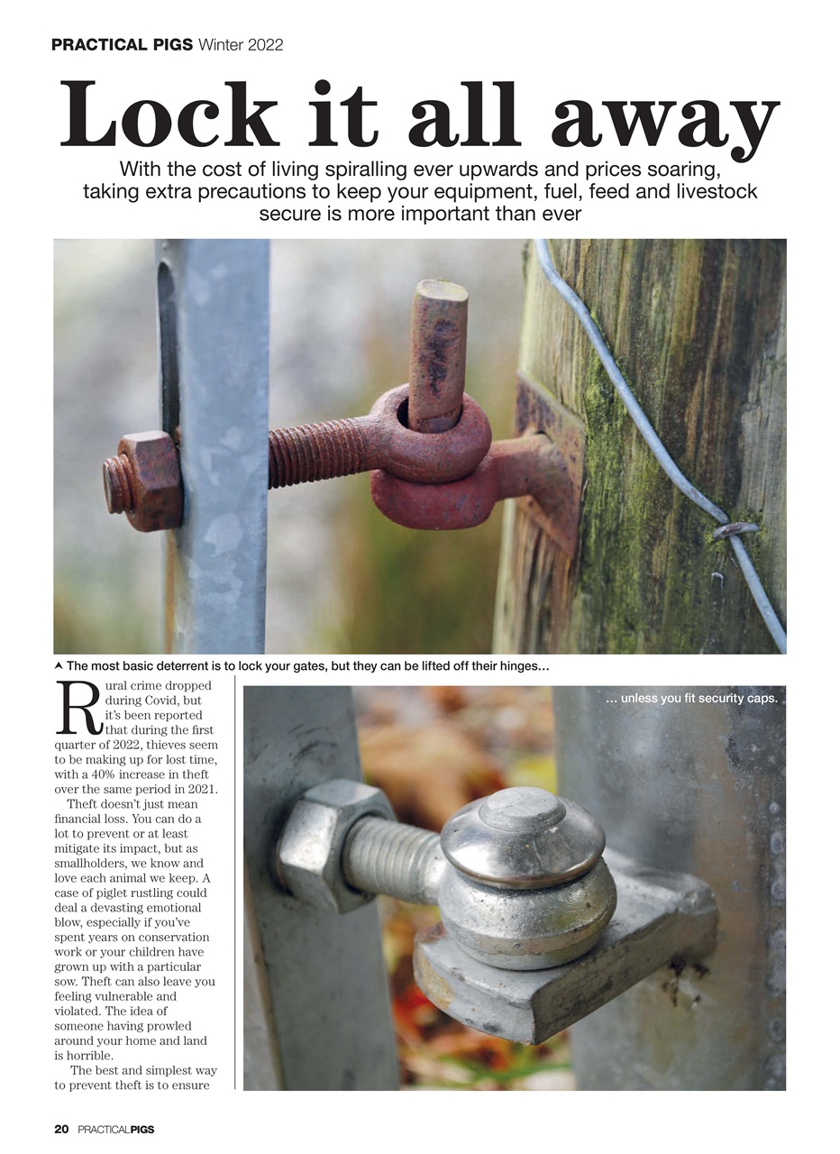 Practical Pigs Preview Pages