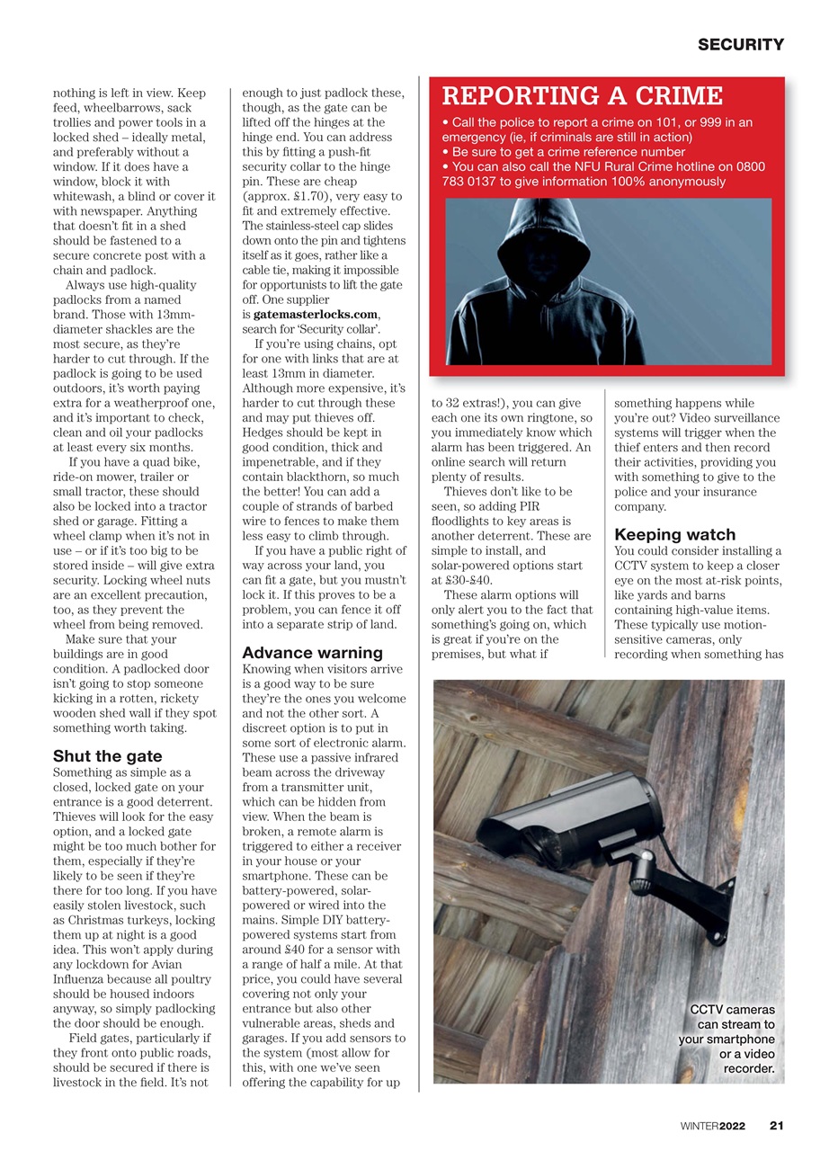 Practical Pigs Preview Pages