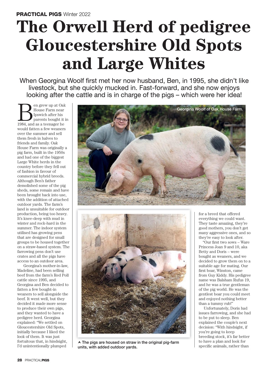 Practical Pigs Preview Pages