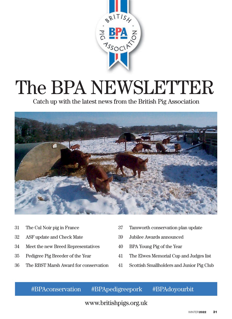 Practical Pigs Preview Pages