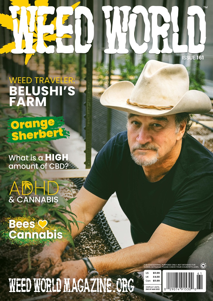 Weed World Preview Pages
