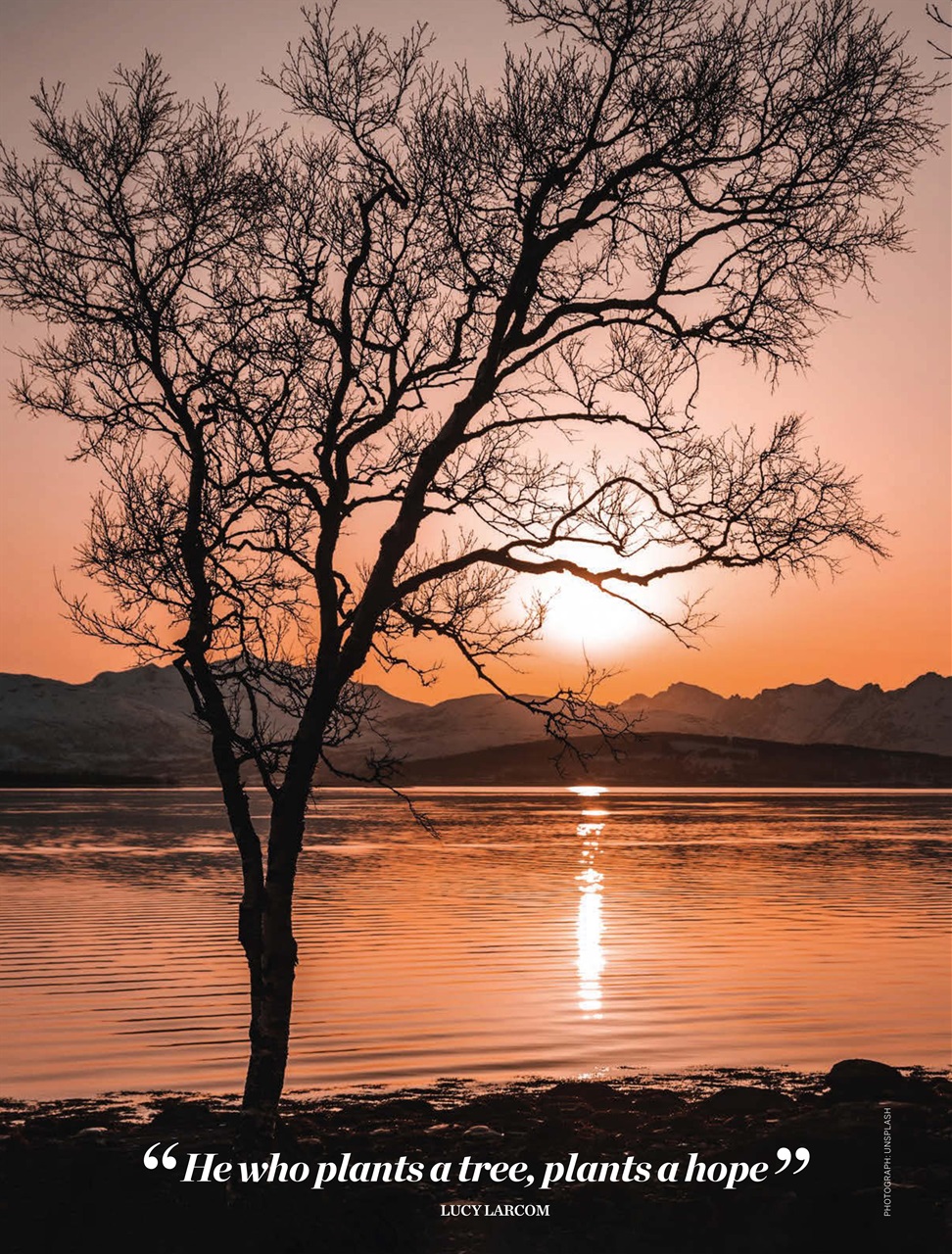 Psychologies Preview Pages