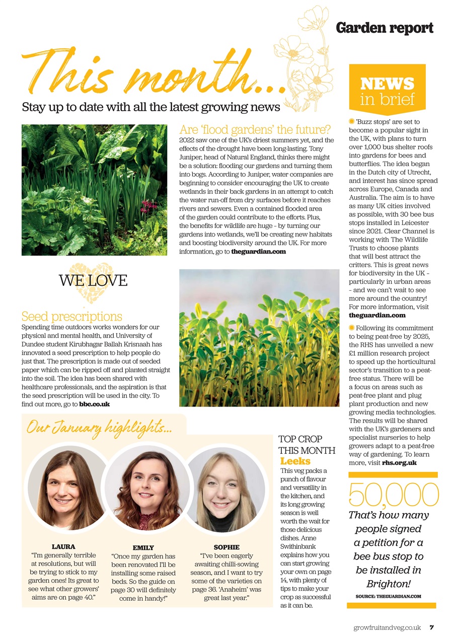 Grow Your Own Preview Pages