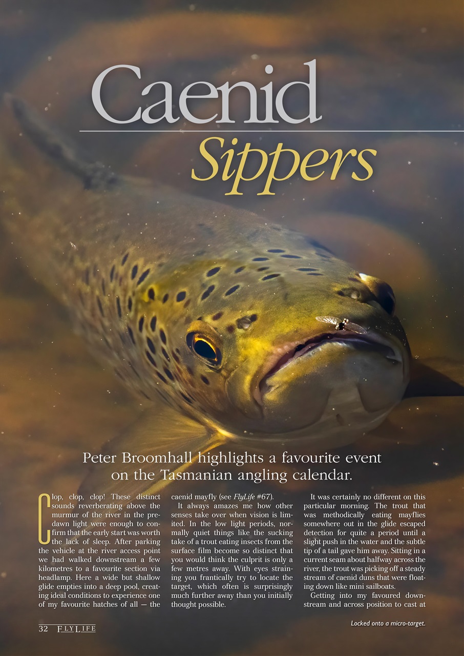 FlyLife Preview Pages