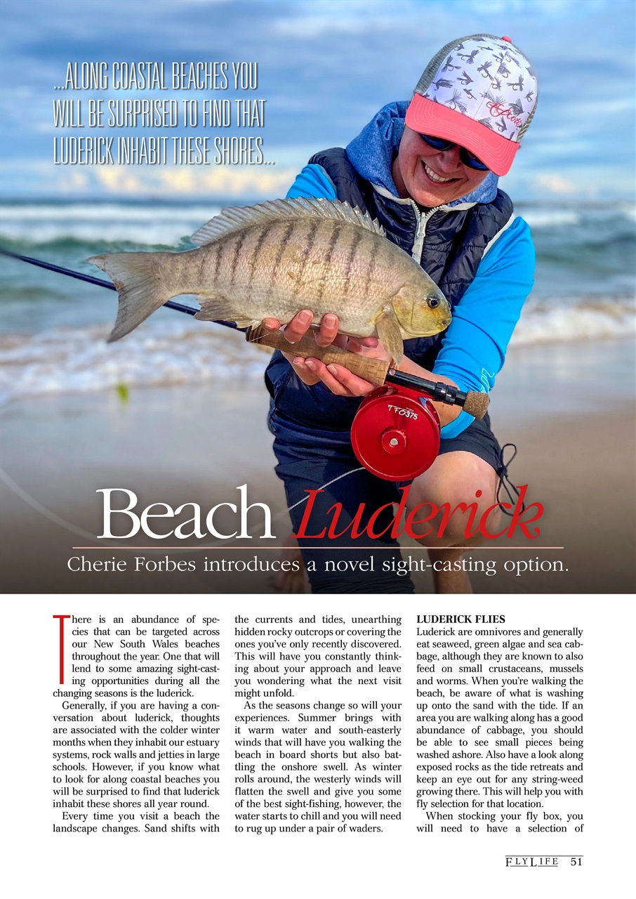 FlyLife Preview Pages