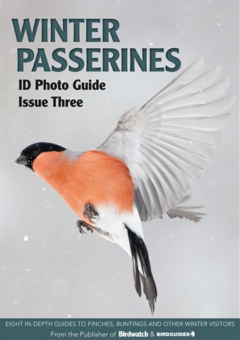 Winter Passerines issue Winter Passerines