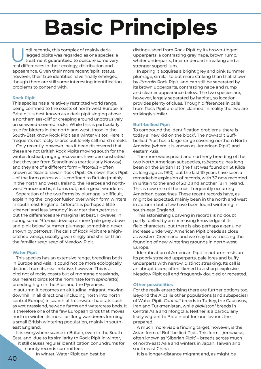 Birdwatch Magazine Preview Pages