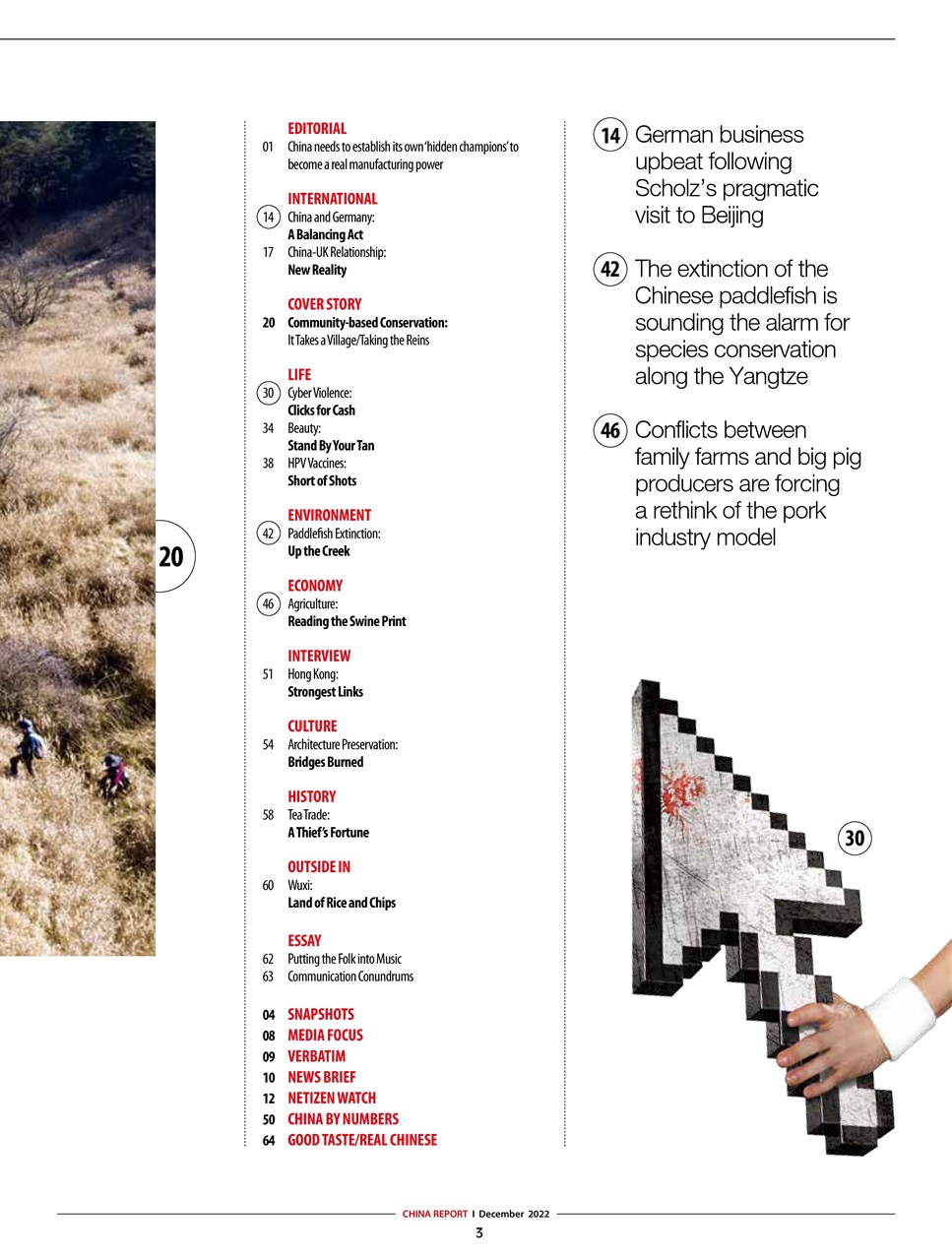 China Report Preview Pages