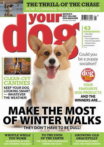 Your Dog issue Your Dog Magazine January 2023