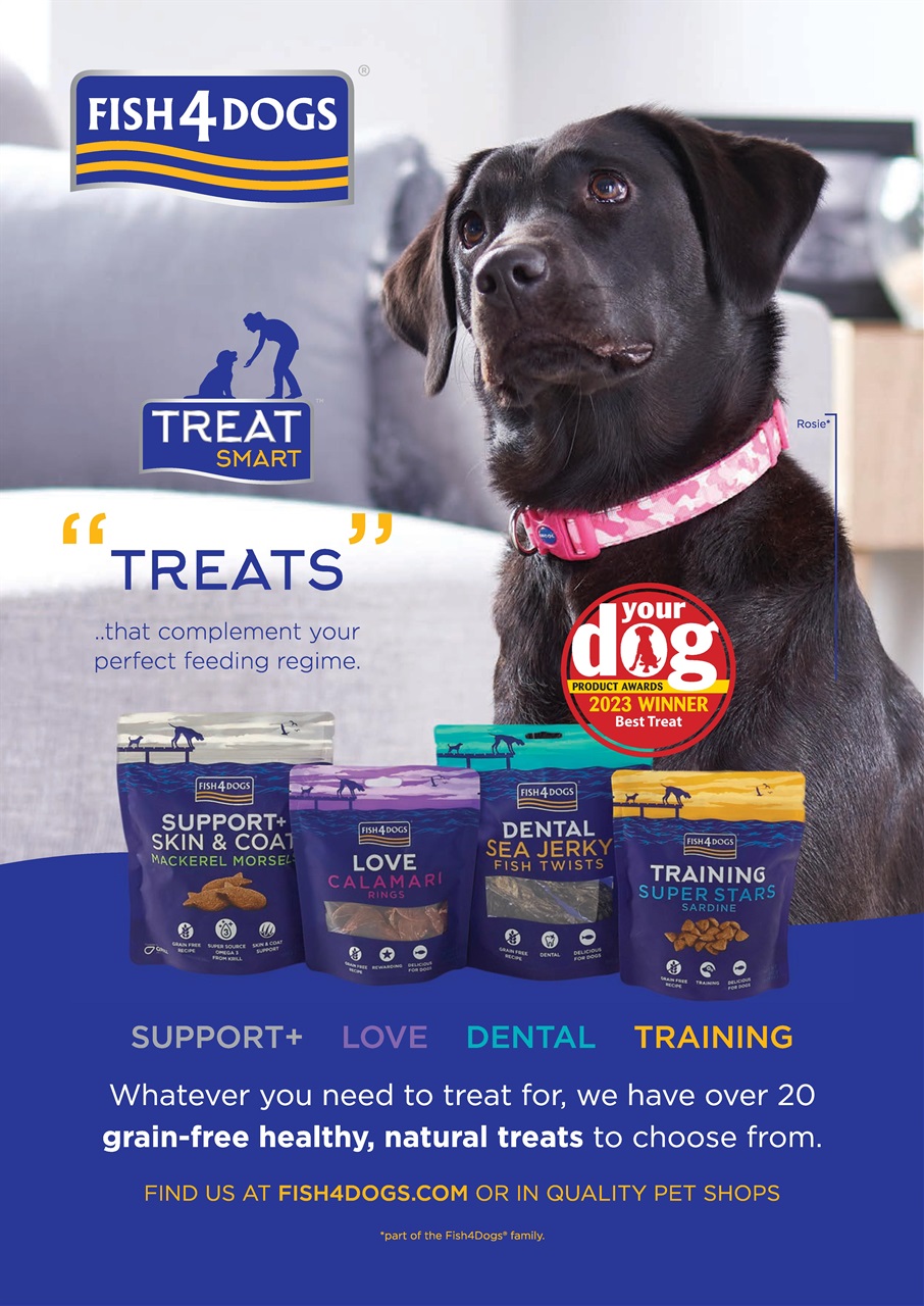 Your Dog Preview Pages