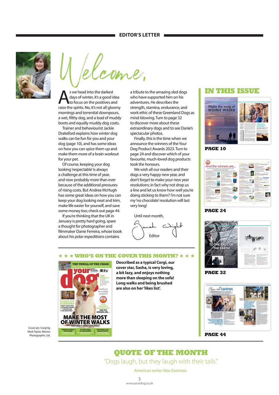Your Dog Preview Pages