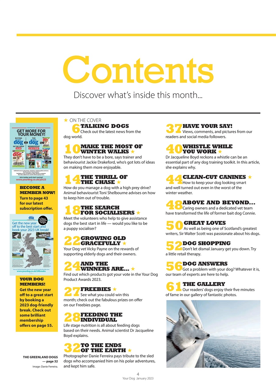 Your Dog Preview Pages