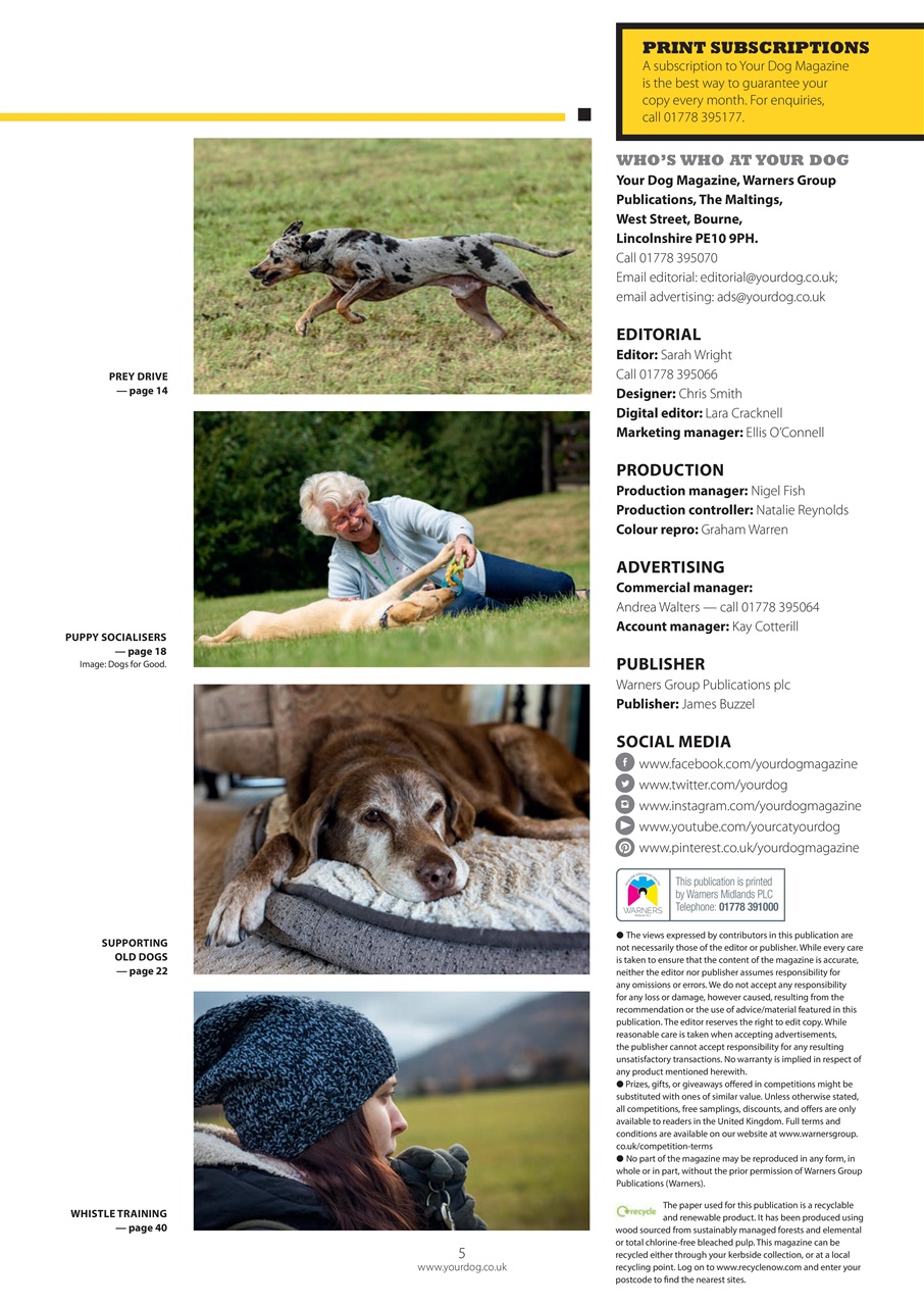 Your Dog Preview Pages