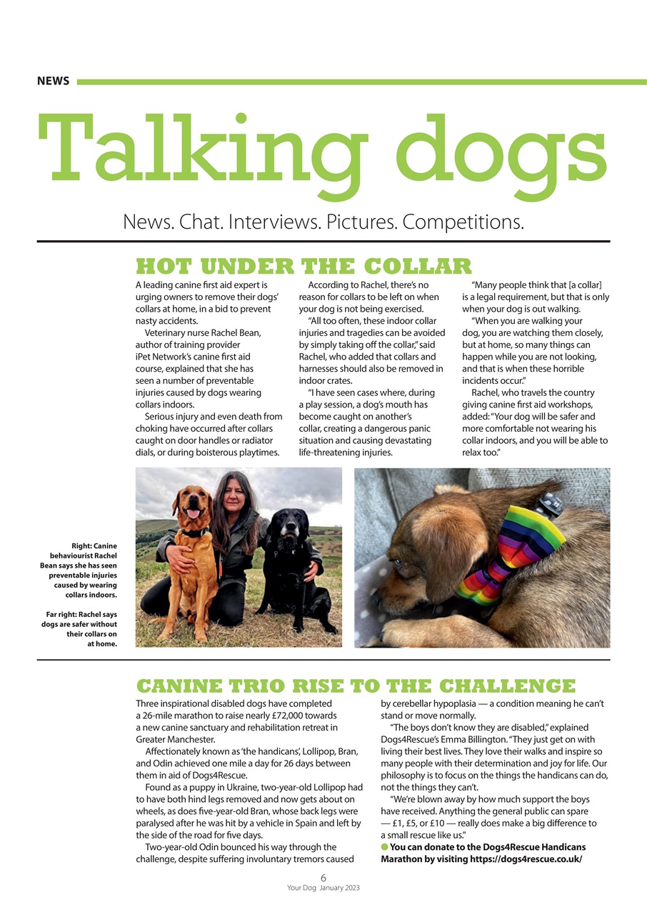 Your Dog Preview Pages