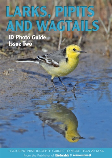Bird ID Photo Guides issue 