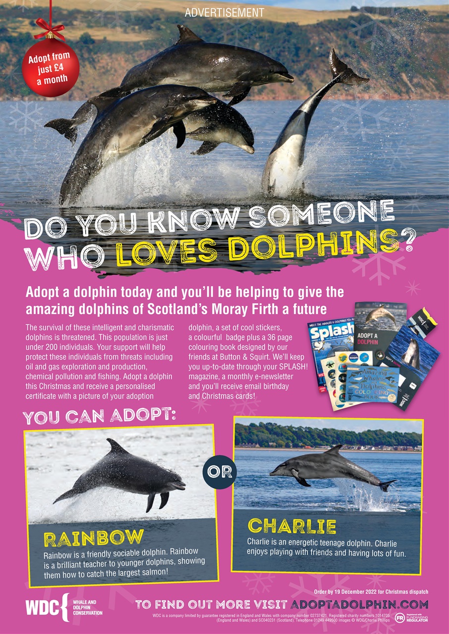 Animal Planet Kids Preview Pages