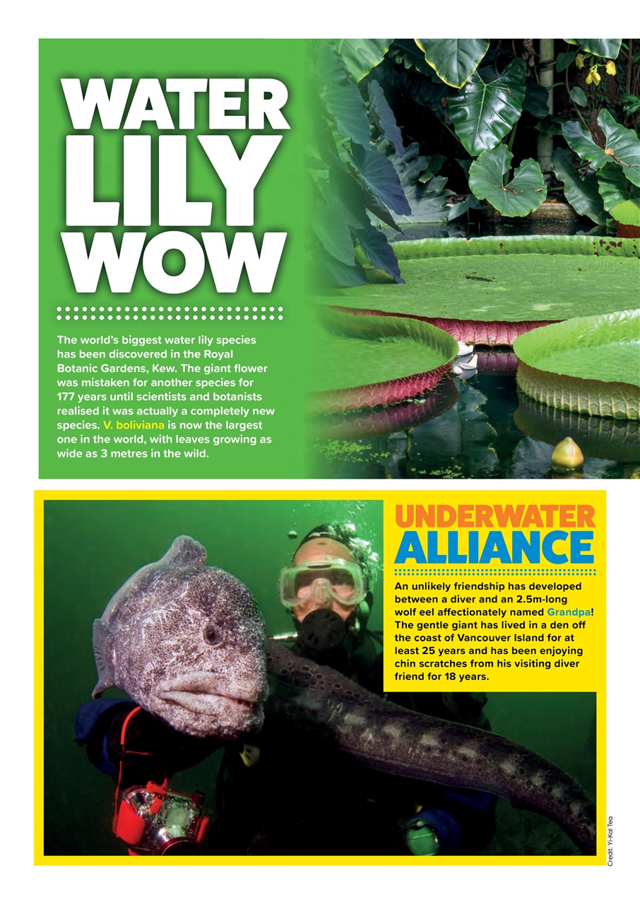 Animal Planet Kids Preview Pages