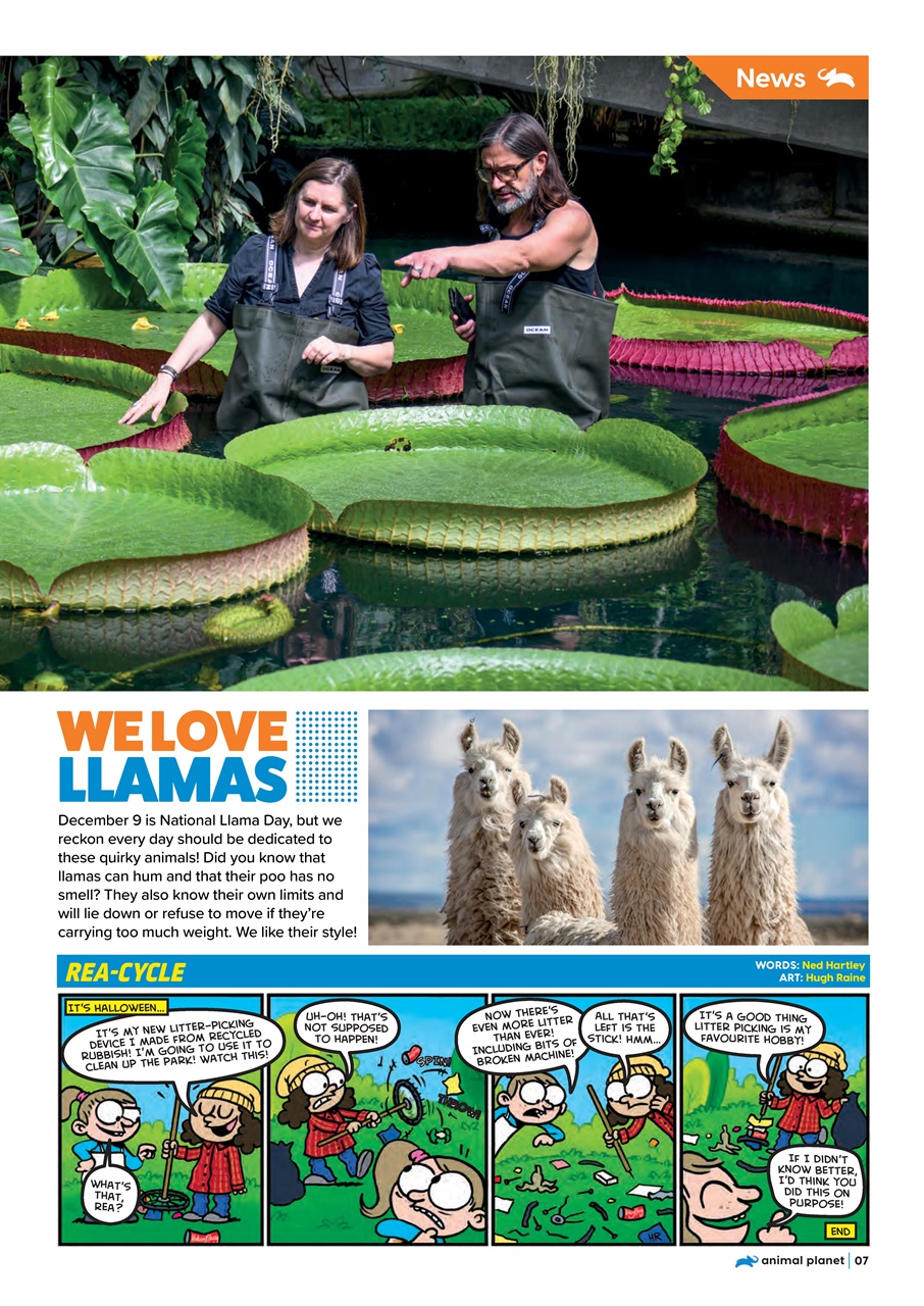 Animal Planet Kids Preview Pages