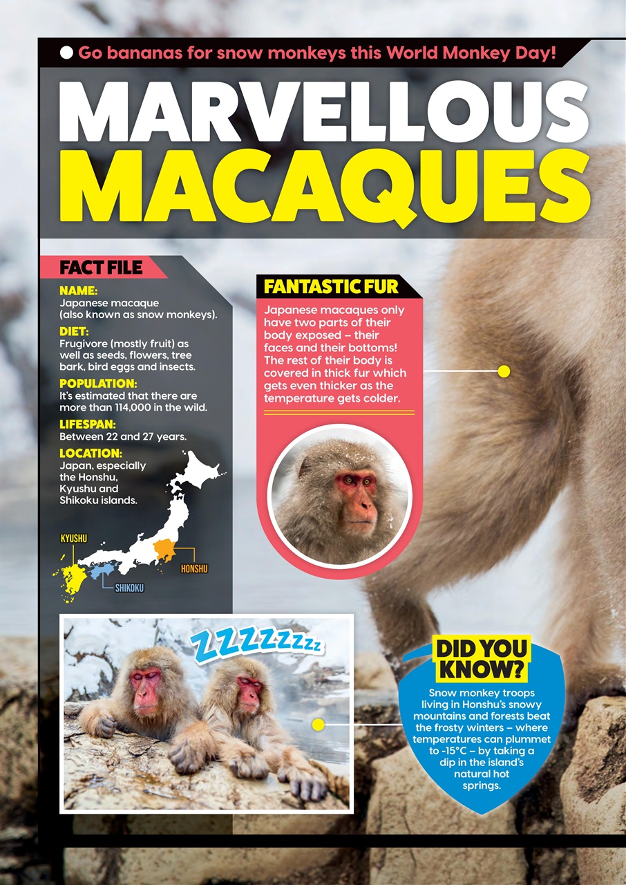 Animal Planet Kids Preview Pages