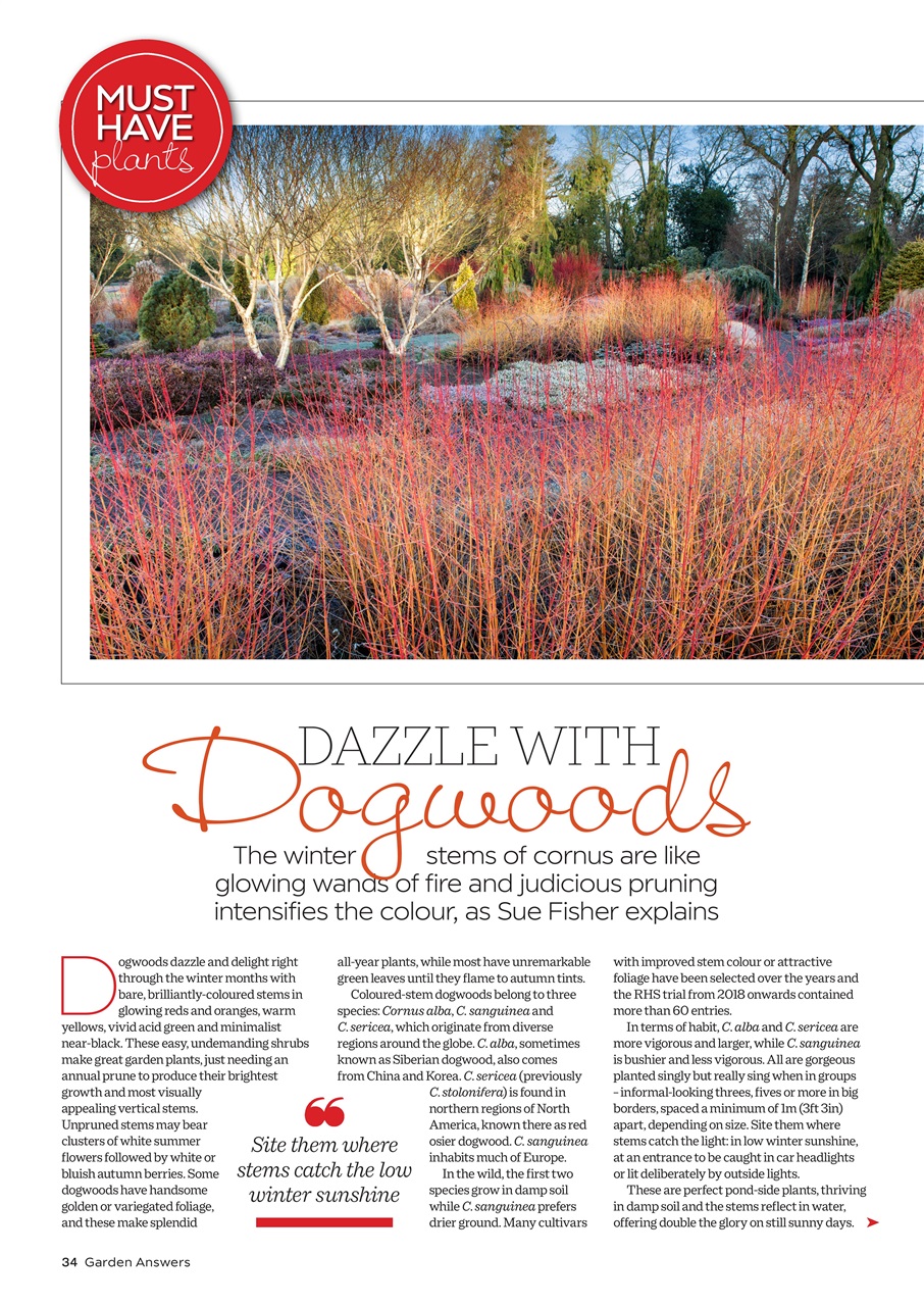 Garden Answers Preview Pages