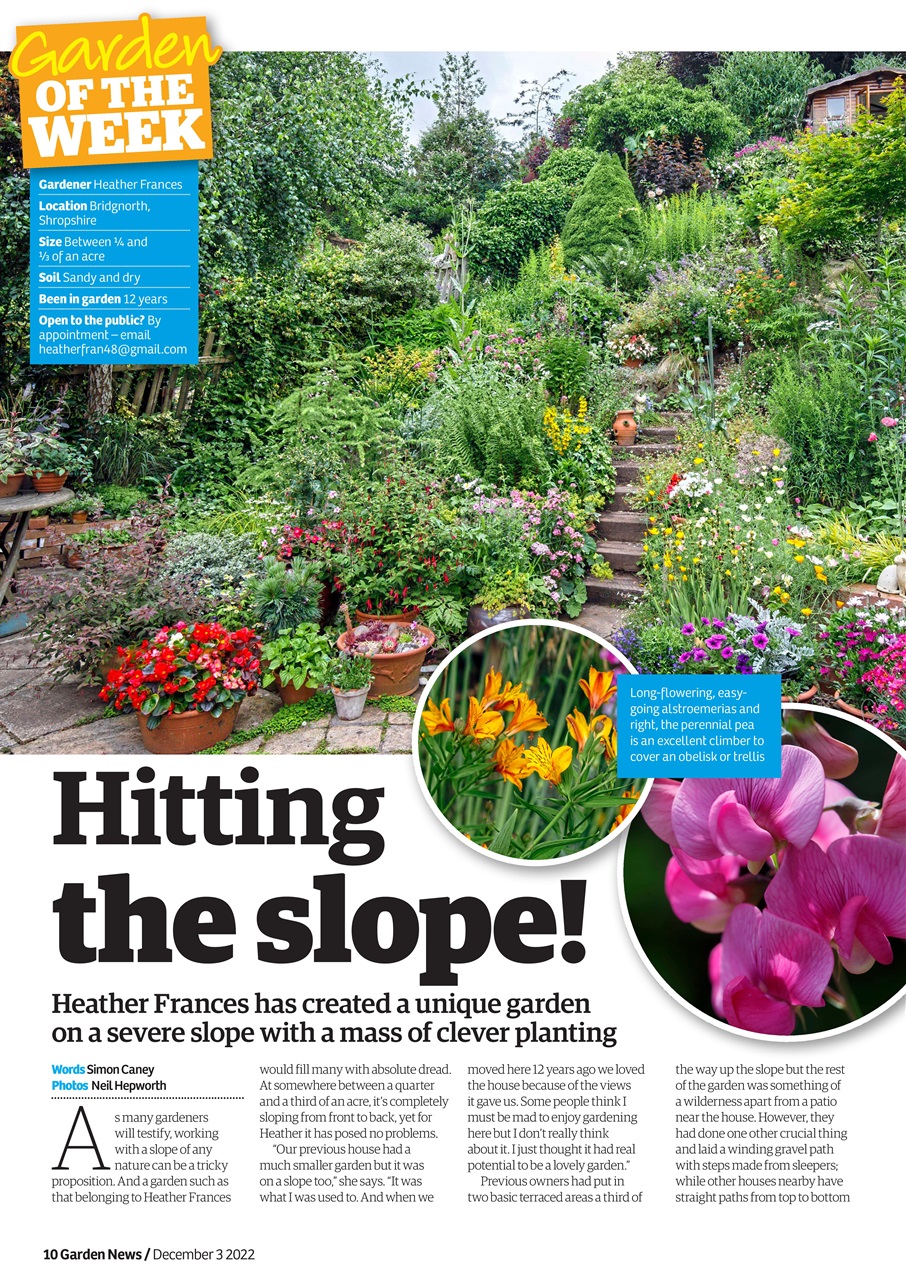 Garden News Preview Pages