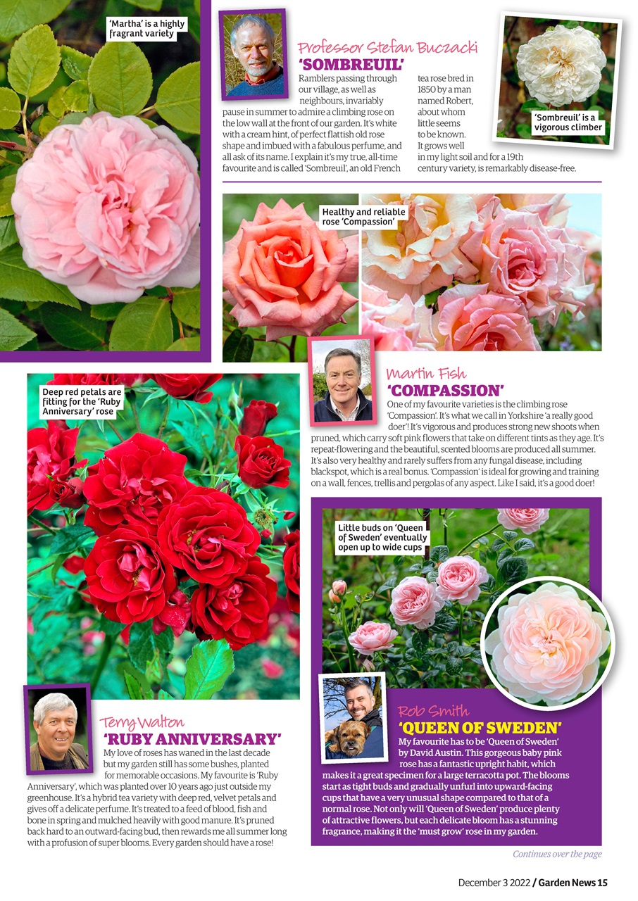 Garden News Preview Pages