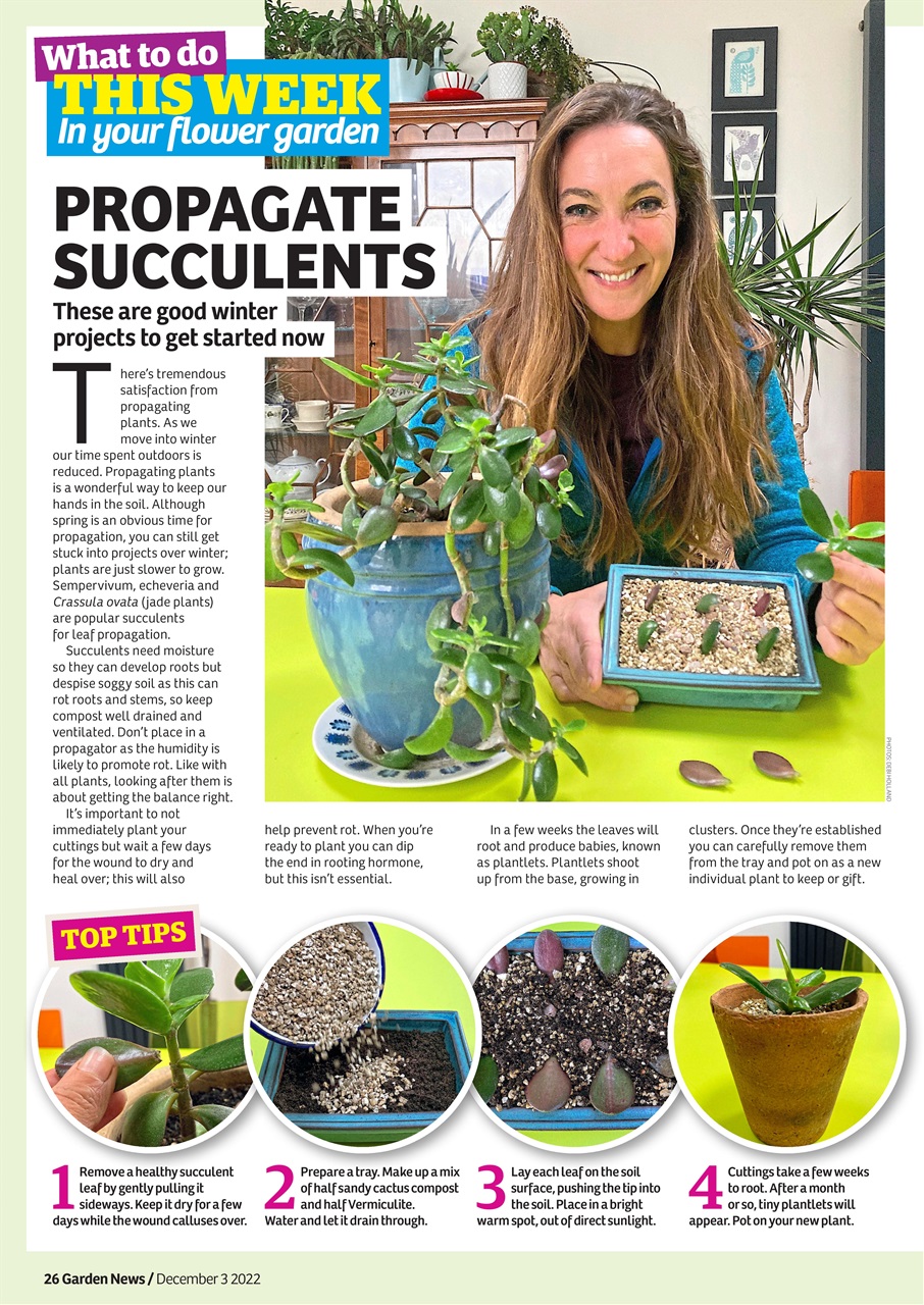 Garden News Preview Pages