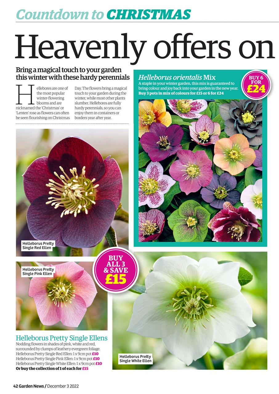 Garden News Preview Pages