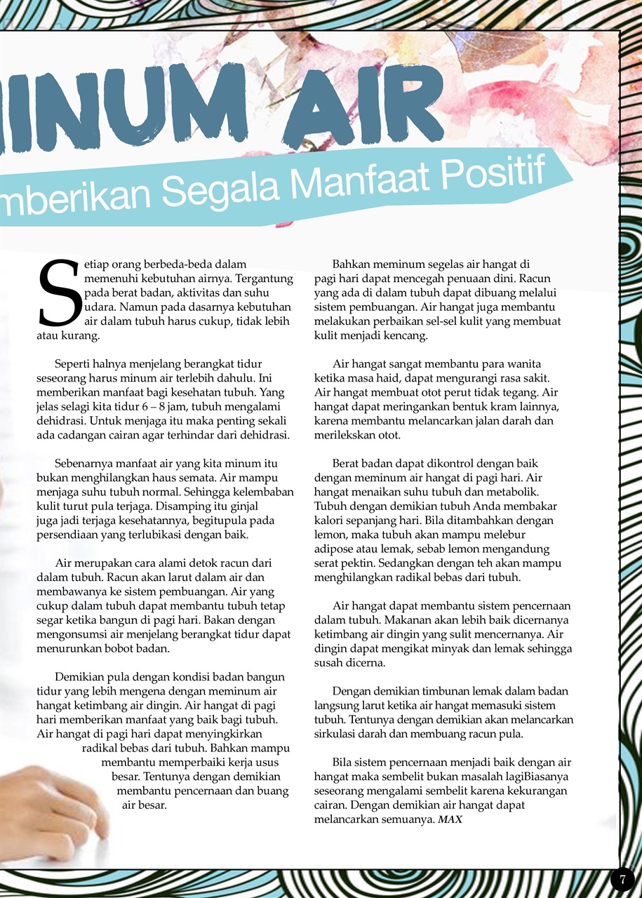 Max Magazine Preview Pages