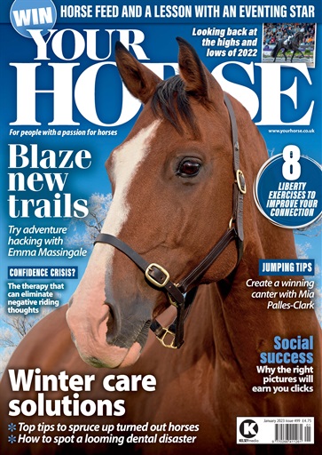 Your Horse issue 