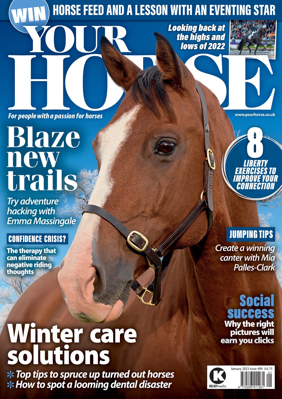 Your Horse Preview Pages