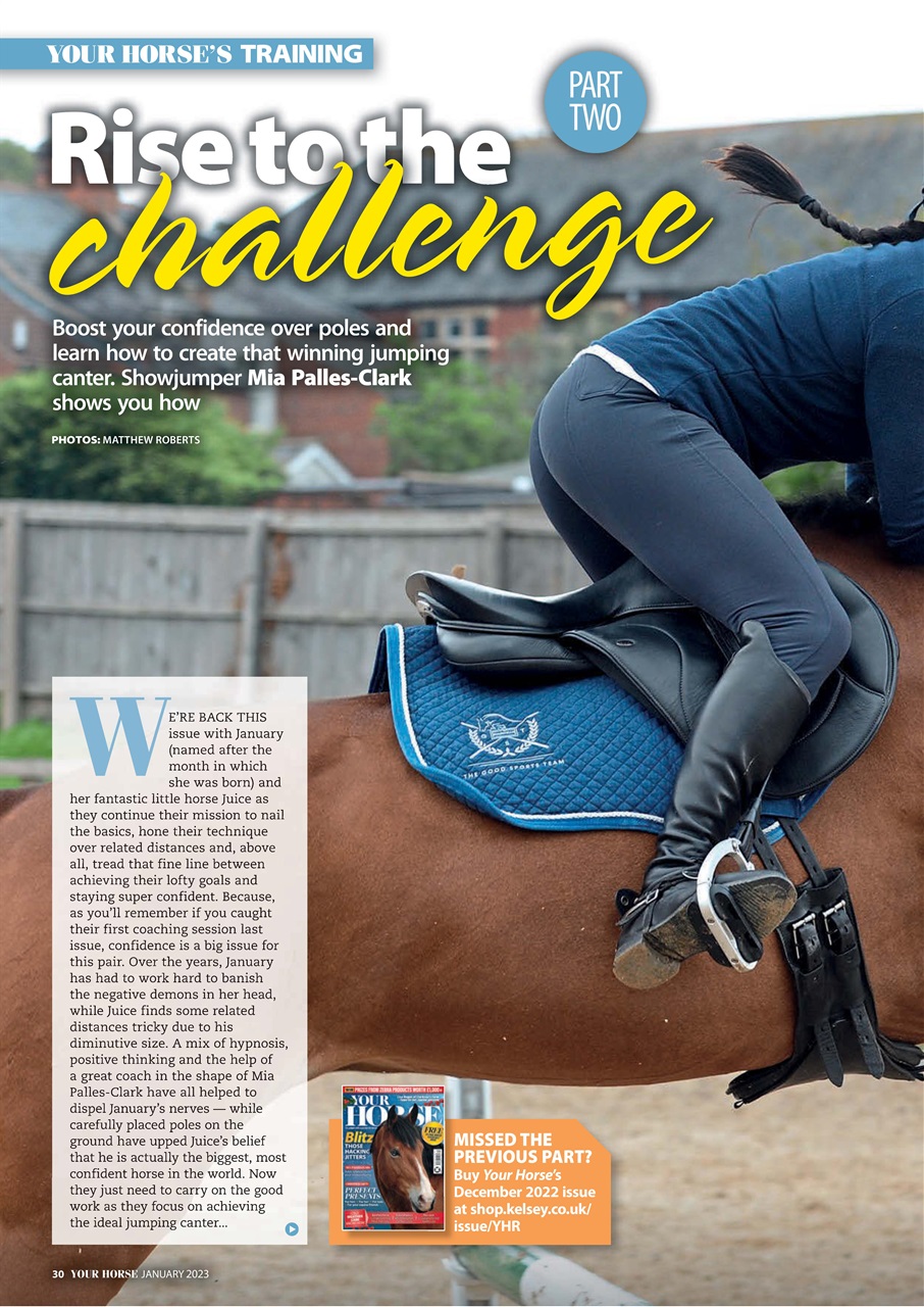 Your Horse Preview Pages