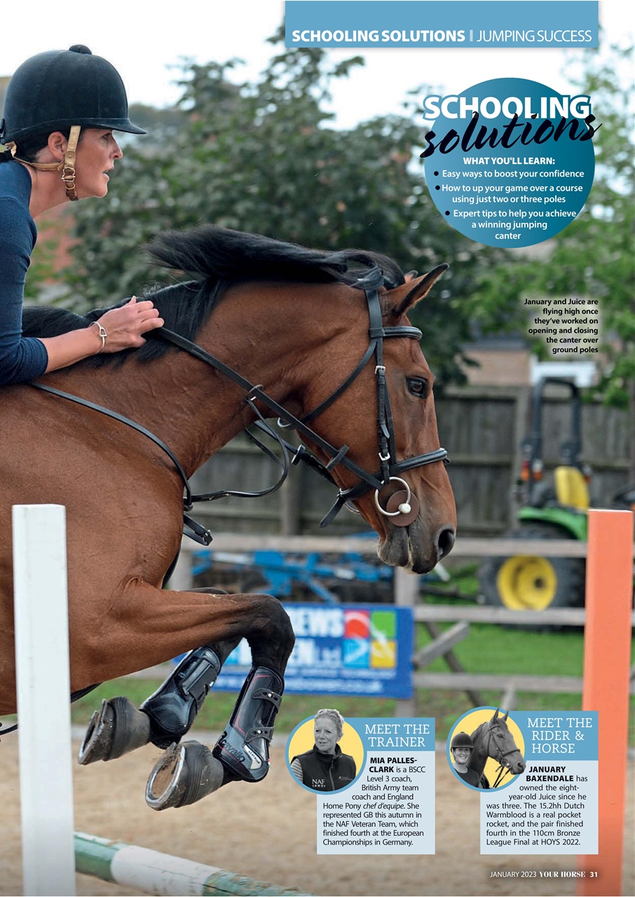 Your Horse Preview Pages