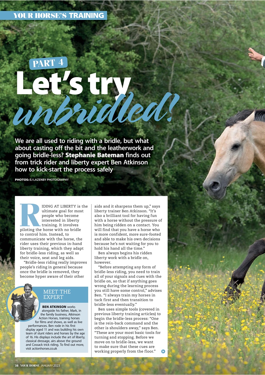Your Horse Preview Pages