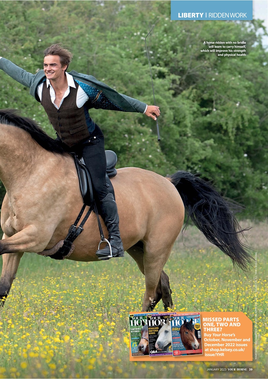 Your Horse Preview Pages