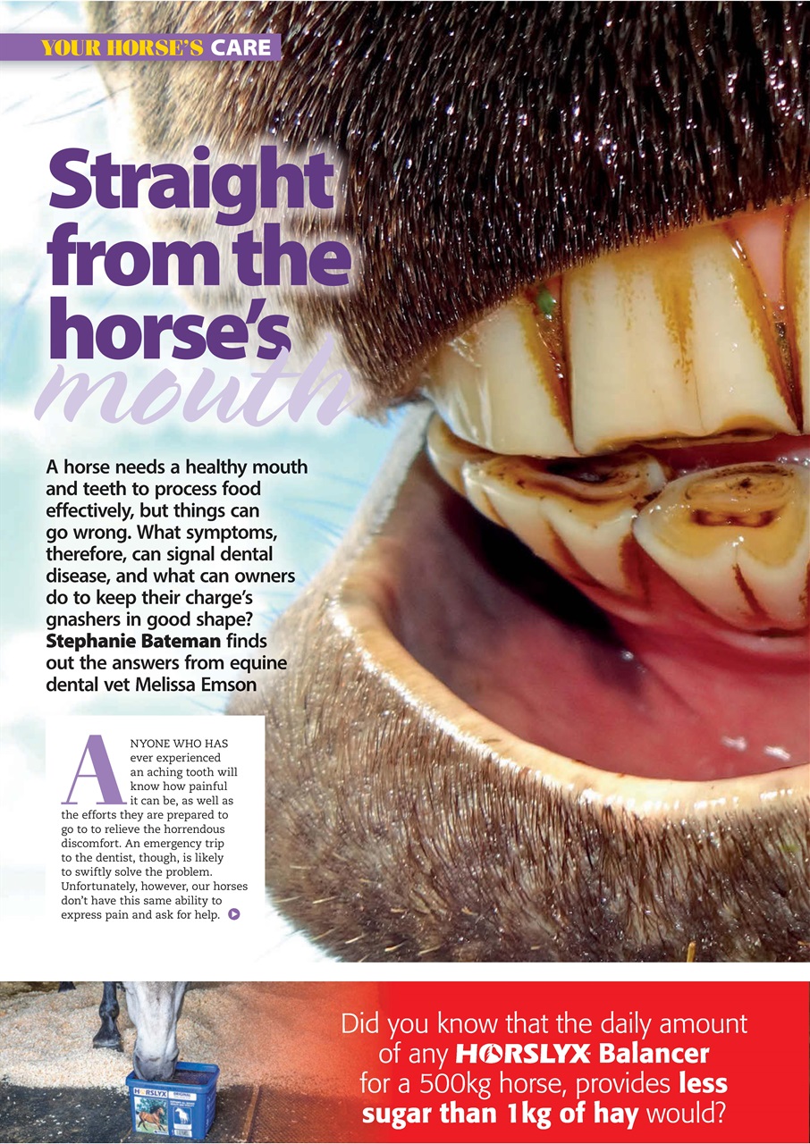 Your Horse Preview Pages