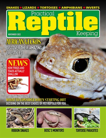 Practical Reptile Keeping issue November 2022