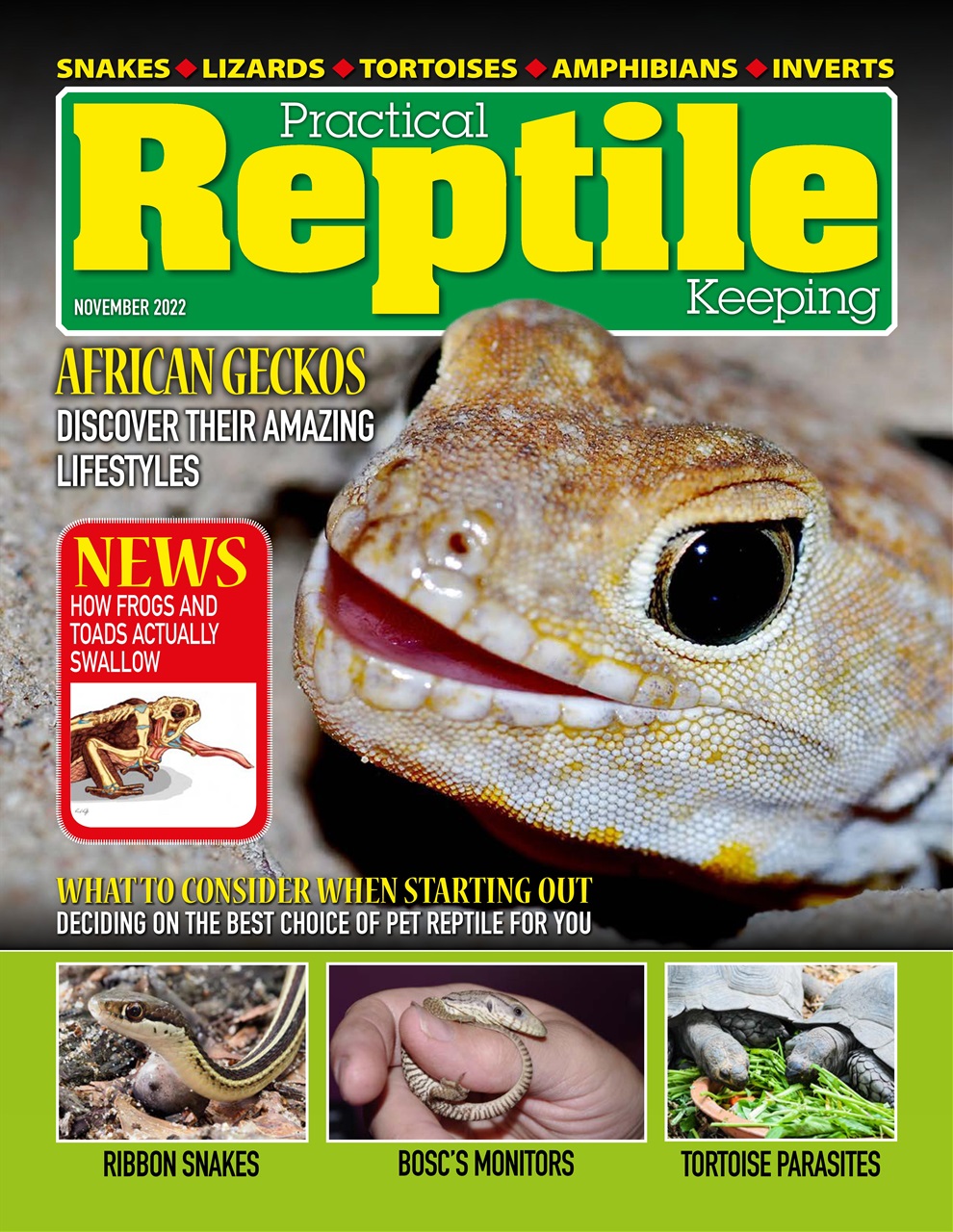 Practical Reptile Keeping Preview Pages