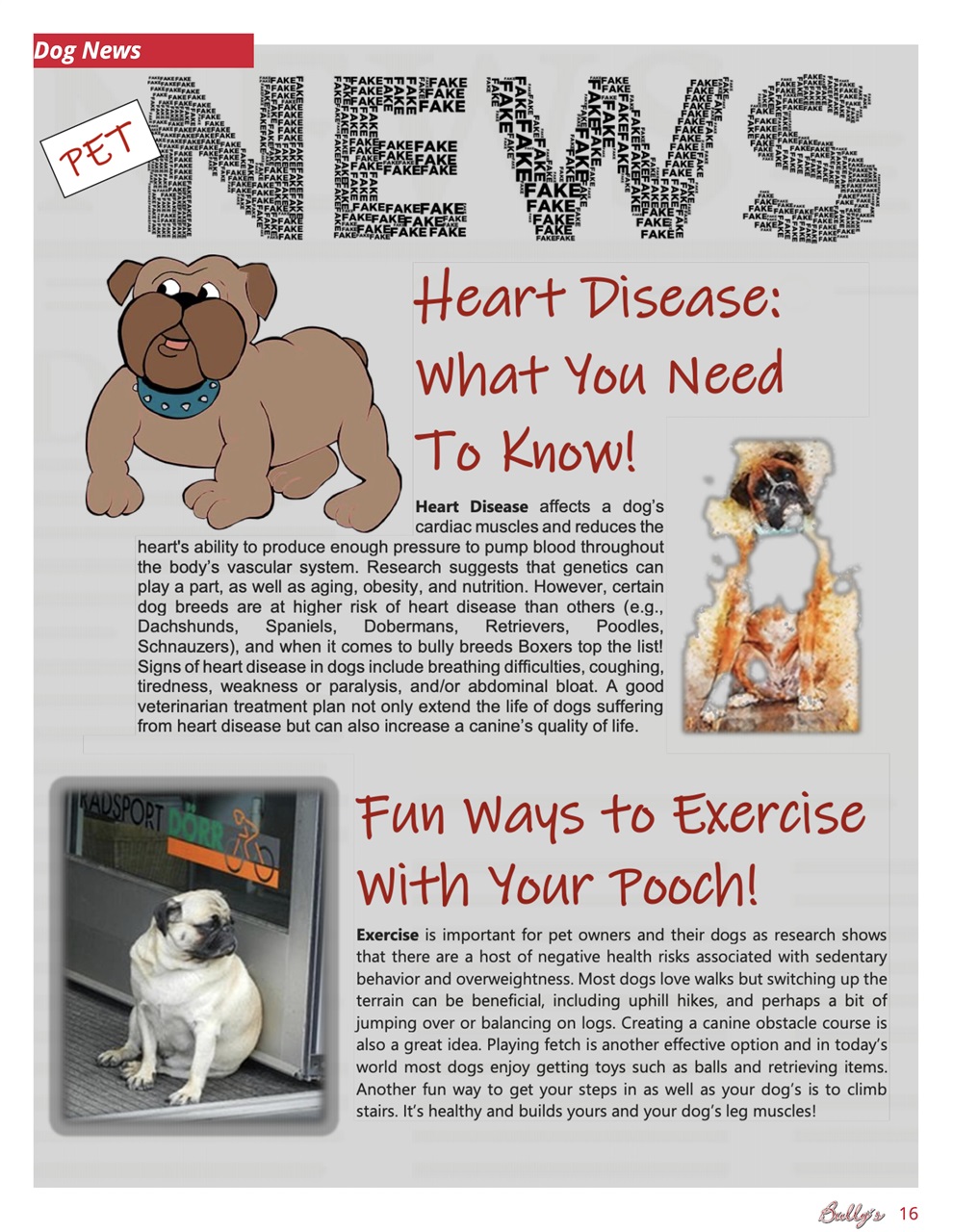 Bully’s - The Bulldog Magazine Preview Pages