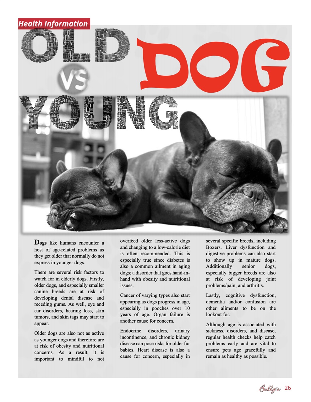 Bully’s - The Bulldog Magazine Preview Pages