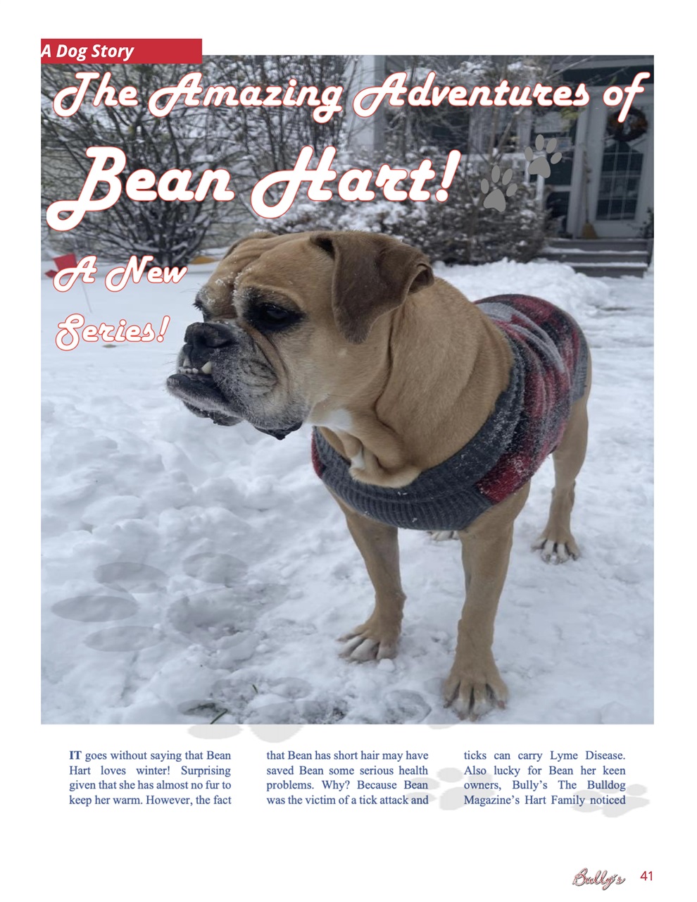 Bully’s - The Bulldog Magazine Preview Pages