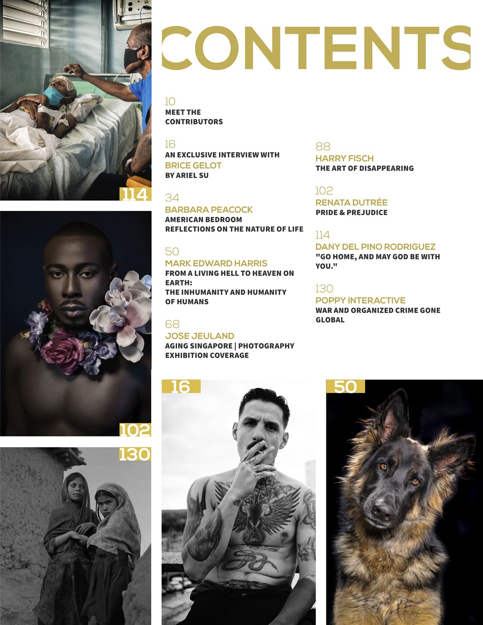 Lens Magazine Preview Pages